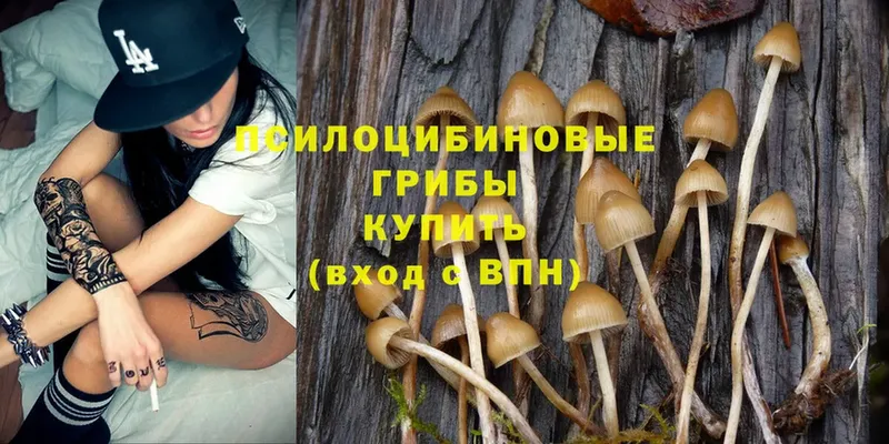 Псилоцибиновые грибы MAGIC MUSHROOMS  где купить   даркнет официальный сайт  Сочи 